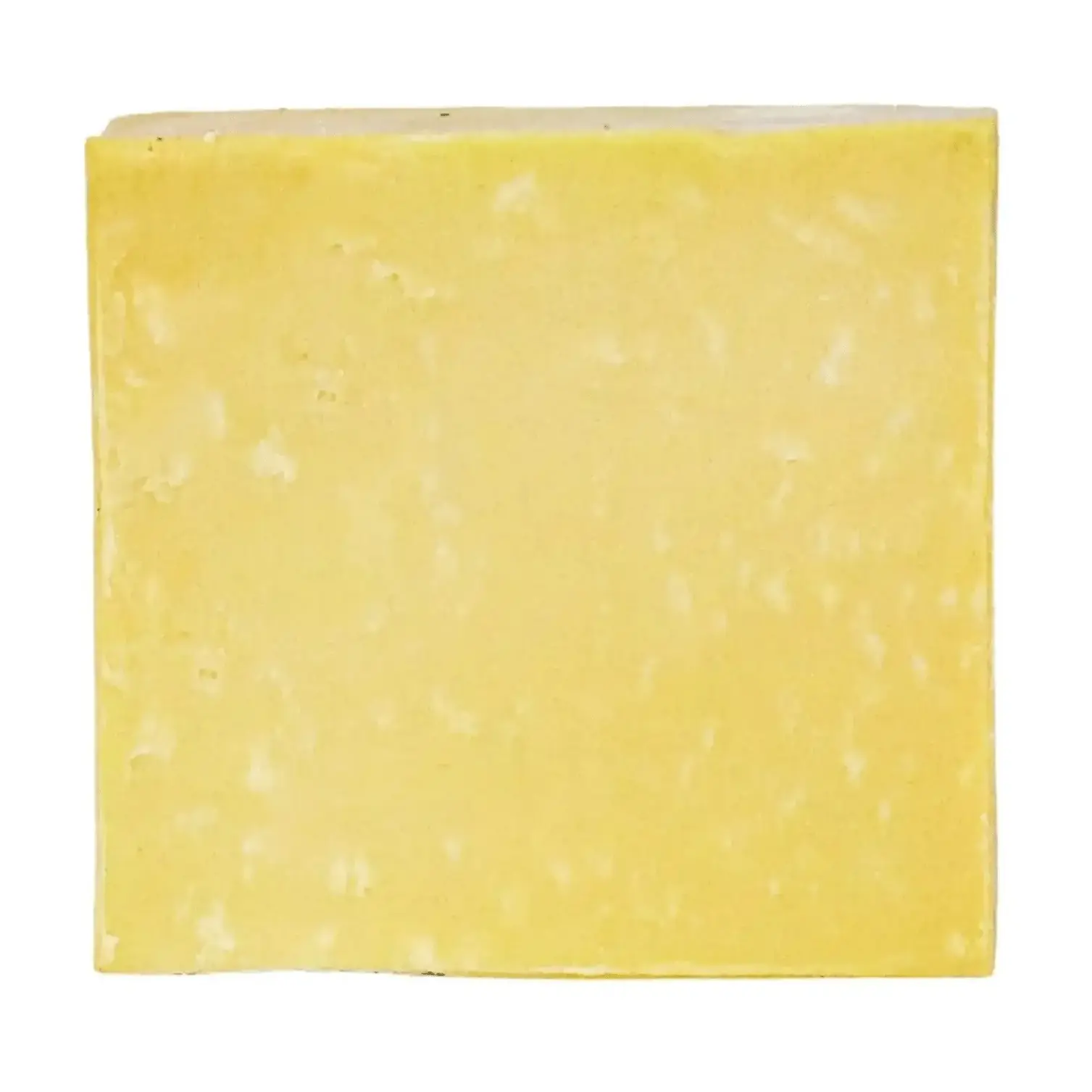 i BITE FASCISTS | Puppy Poo' Bar & Dog Bandana Set - My Cluck Hut